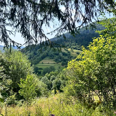 гармонія